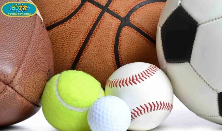 Future Innovations in the Sports Experience