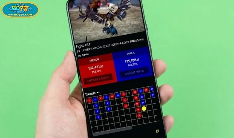 The Global Appeal of 777BD Cockfight Arenas
