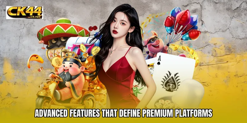 Advanced Features That Define Premium Platforms