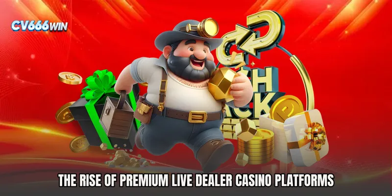 The Rise of Premium Live Dealer Casino Platforms